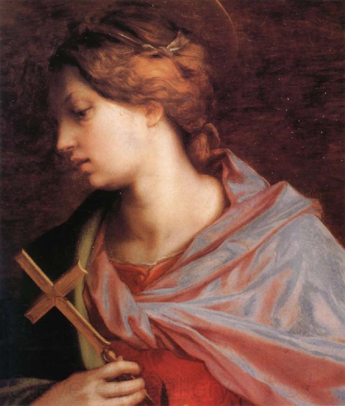 Andrea del Sarto Portrait of Altar Germany oil painting art
